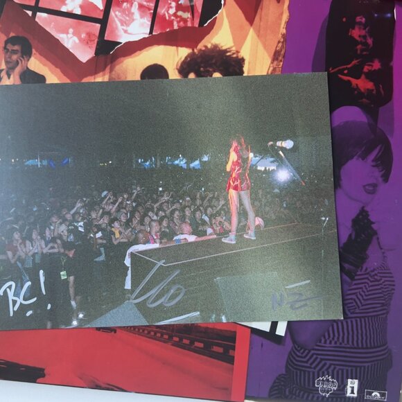 0000/2000 Yeah Yeah Yeahs SIGNED Fever to Tell LTD ED Deluxe BOX + Cassette tape - Picture 11 of 16
